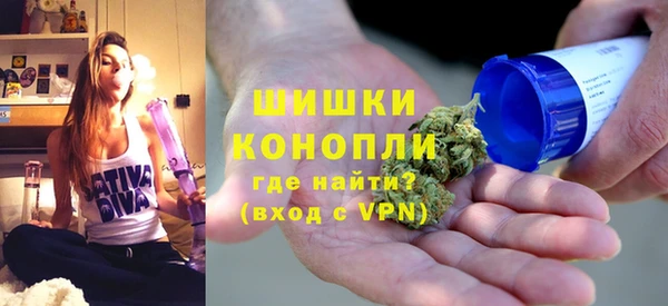 стафф Каменка