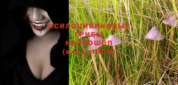 jwh Каменногорск