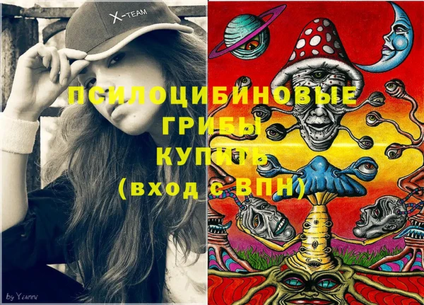 jwh Каменногорск