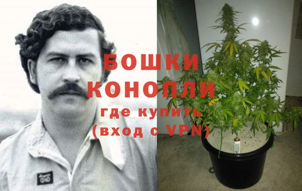 стафф Каменка