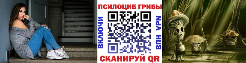 дарнет шоп  Оренбург  Галлюциногенные грибы Psilocybe 