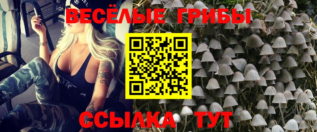 Оренбург  Псилоцибиновые грибы Magic Shrooms  Галлюциногенные грибы Psilocybine cubensis  Вход с VPN 